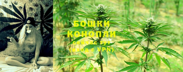 ECSTASY Коряжма
